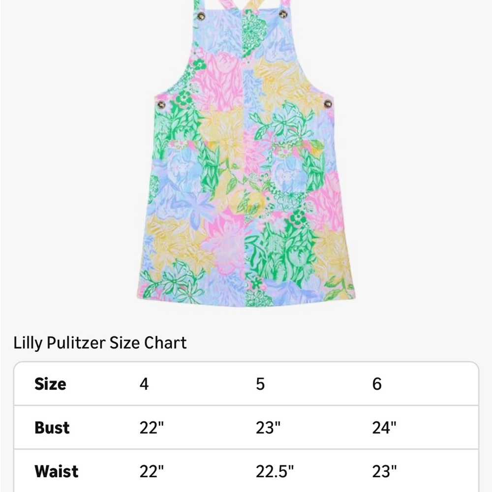 Lilly Pulitzer Varney Dress NWT - Picture 4 of 9